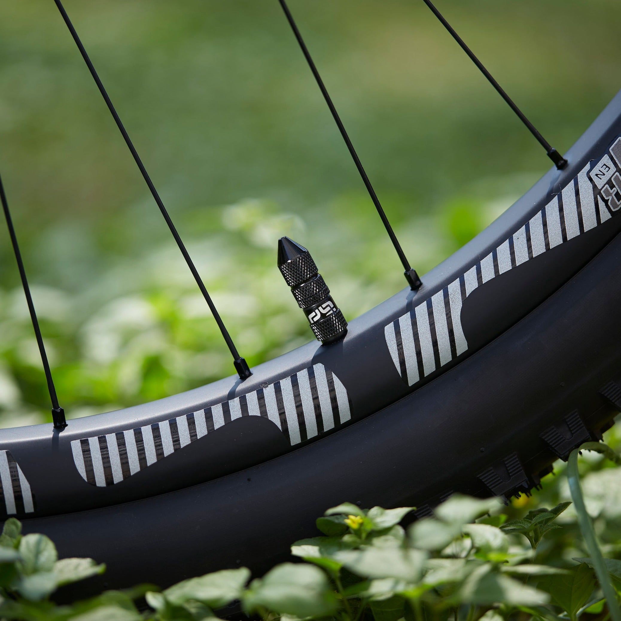 Quick Fill Schrader Tubeless Valves ethirteen