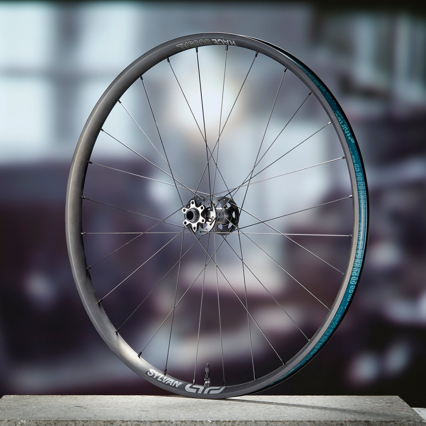 Sylvan Sidekick Race Aluminum All Mountain Wheels - Rear ethirteen