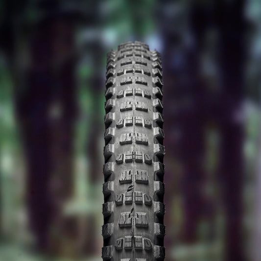 Zeppelin Tire ethirteen